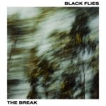 black flies