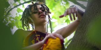 Grove // In Five Grove